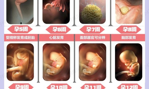孕晚期身上痒正常吗-怀孕晚期身上发热发痒-专业怀孕晚期身上发热发痒怎么办平台-怀孕晚期身上发热发痒怎么办