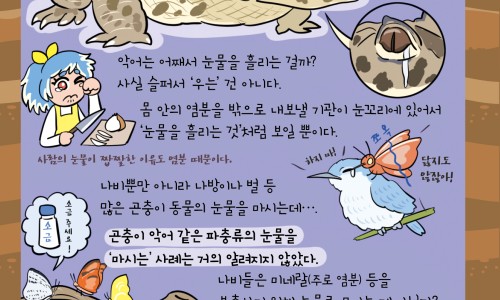 怀孕晚期身上发热发痒-专业怀孕晚期身上发热发痒怎么办平台-怀孕晚期身上发热发痒怎么办